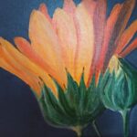 Mittagsblume orange