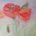 Aquarellbild roter Mohn