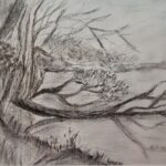 Baum liegt im See